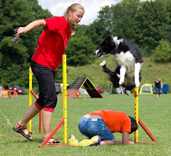 Dogdancingový tábor DKnL-2014  Autorka fotek je Jana Vydrová 008