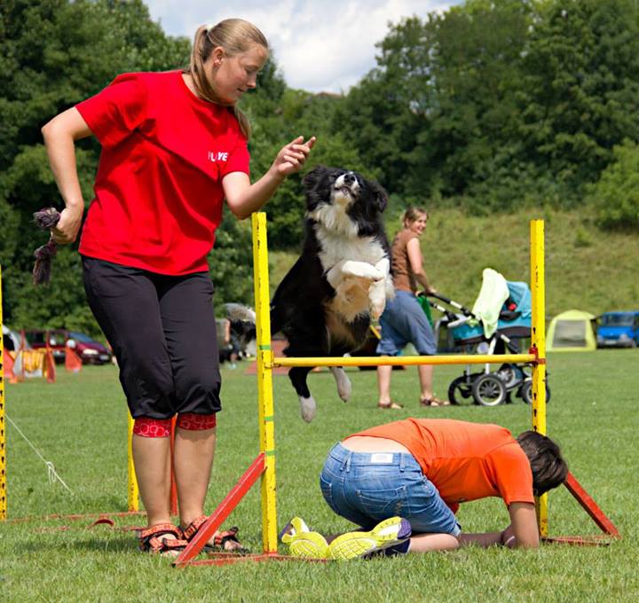 Dogdancingový tábor DKnL-2014  Autorka fotek je Jana Vydrová 009