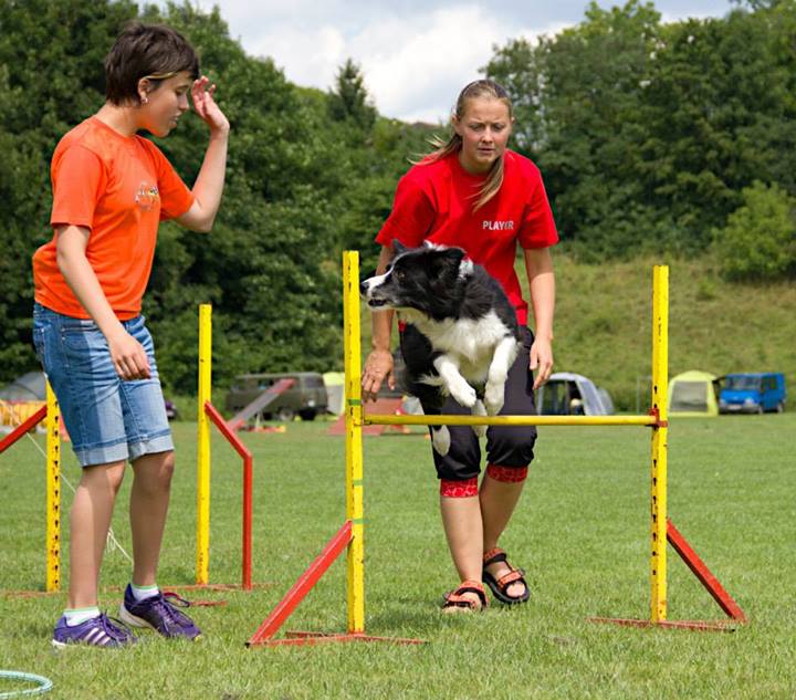 Dogdancingový tábor DKnL-2014  Autorka fotek je Jana Vydrová 010